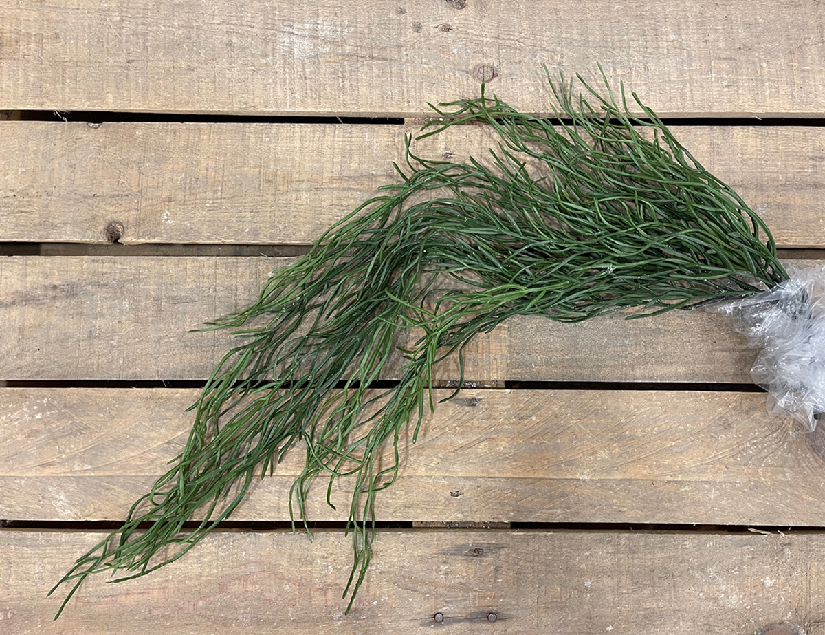 TILLANDSIA VINE 95CM. GREEN