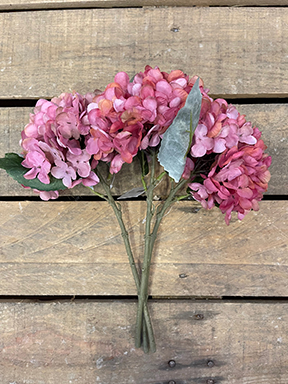 DRIED SHORT HYDRANG. 34CM. 3PZ. PINK