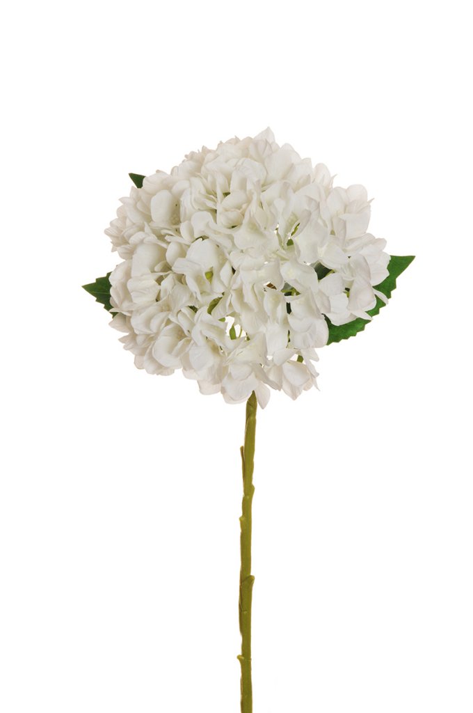 HYDRANGEA JULIET D18CM. L50CM. TT WHITE