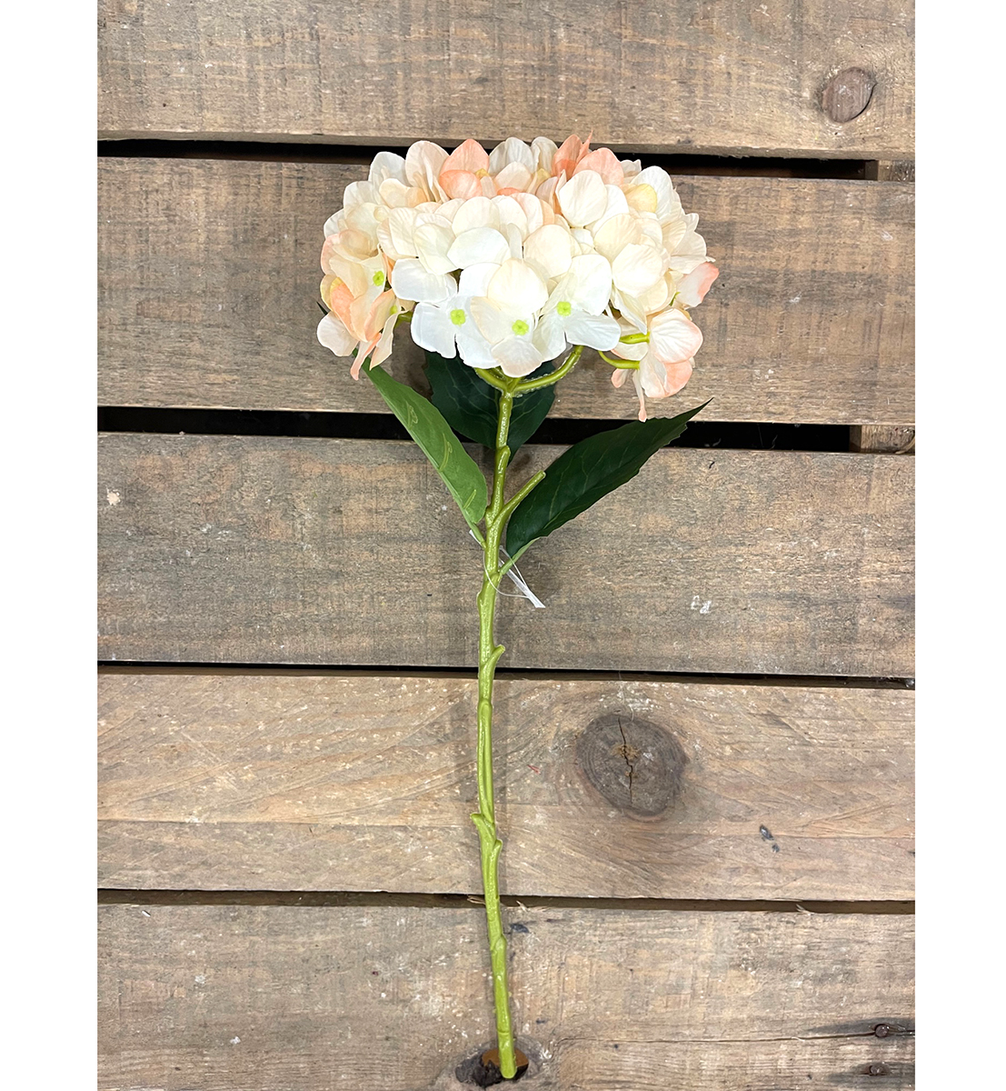 HYDRANGEA JULIET D18CM. L50CM. PEACH CR.