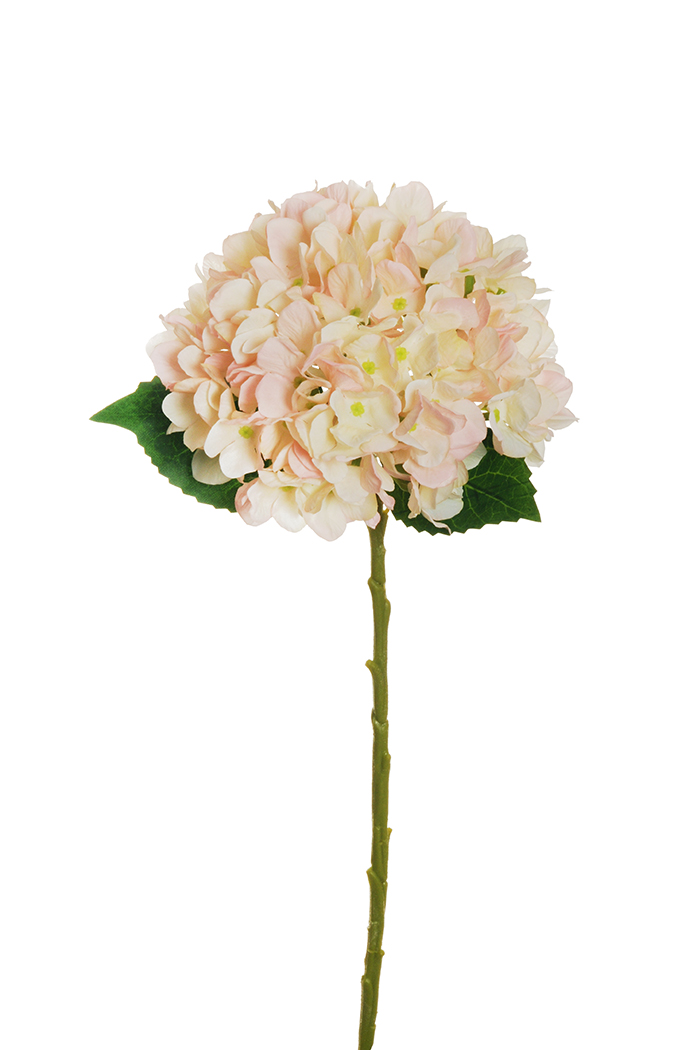 HYDRANGEA JULIET D18CM. L50CM. CRM ANT. PINK