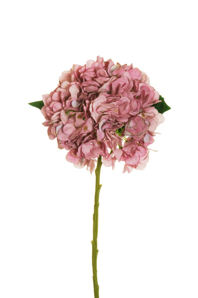 HYDRANGEA JULIET D18CM. L50CM. PK PINK