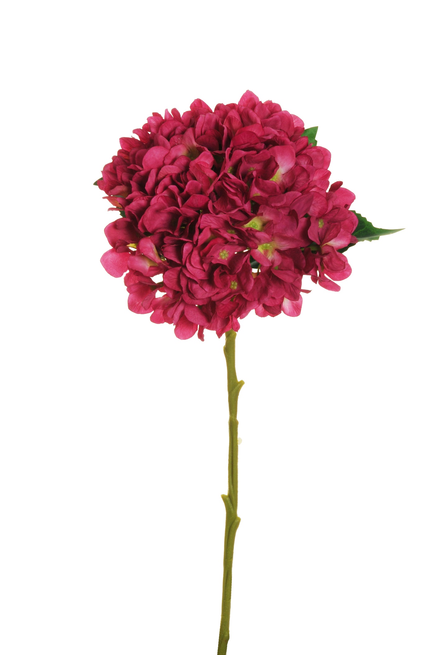 HYDRANGEA JULIET D18CM. L50CM. FUCHSIA