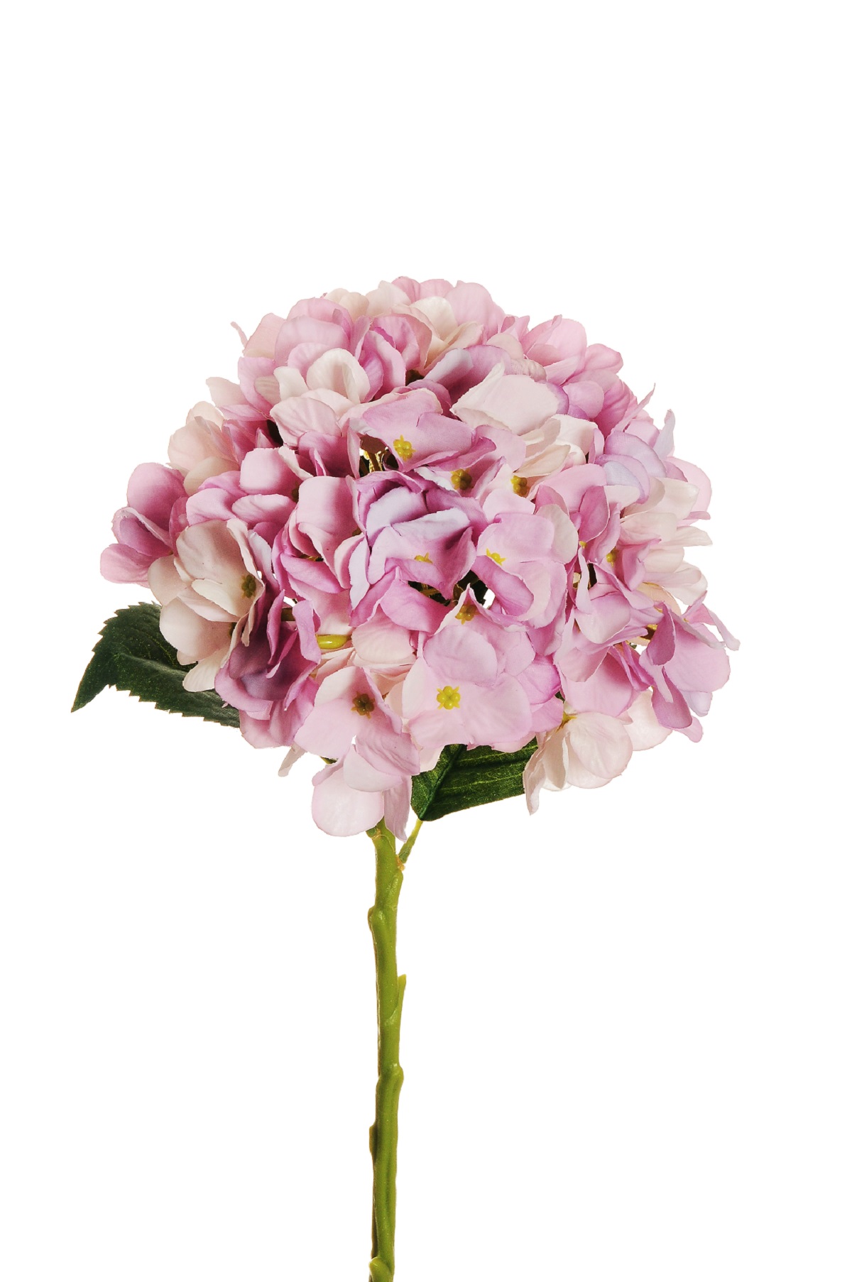 HYDRANGEA JULIET D18CM. L50CM. LT LILAC