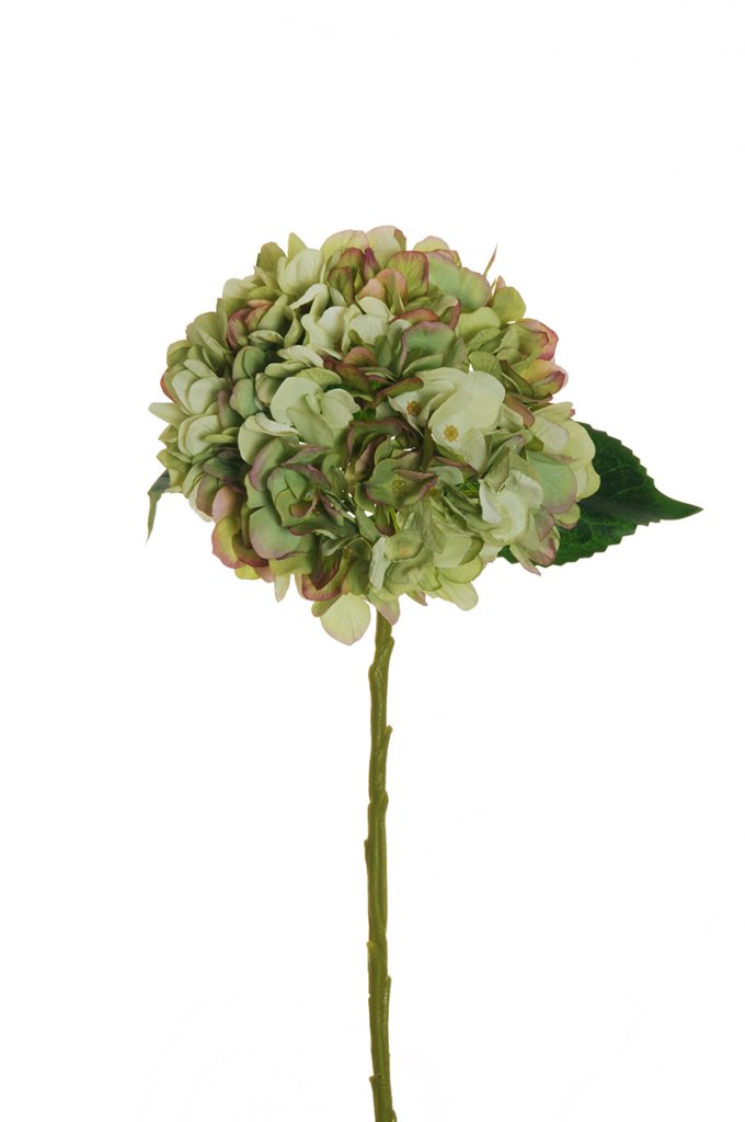 HYDRANGEA JULIET D18CM. L50CM. GREEN PURPLE