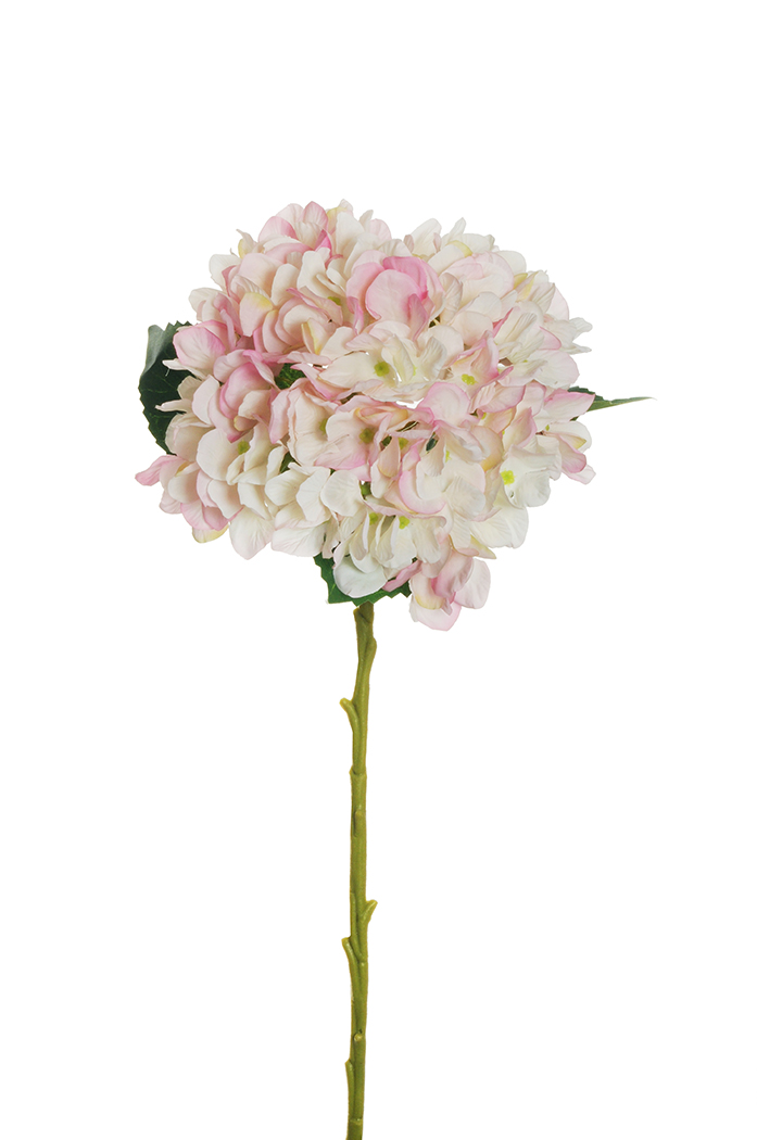 HYDRANGEA JULIET D18CM. L50CM. LT FUCHSIA