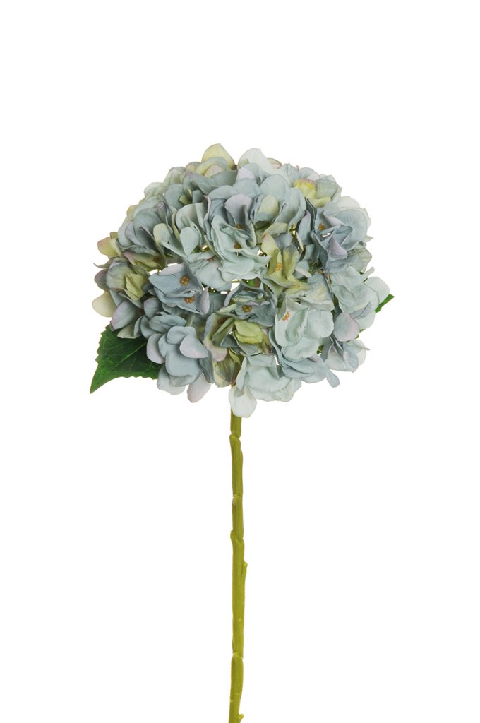 HYDRANGEA JULIET D18CM. L50CM. AUT. LT. BLUE