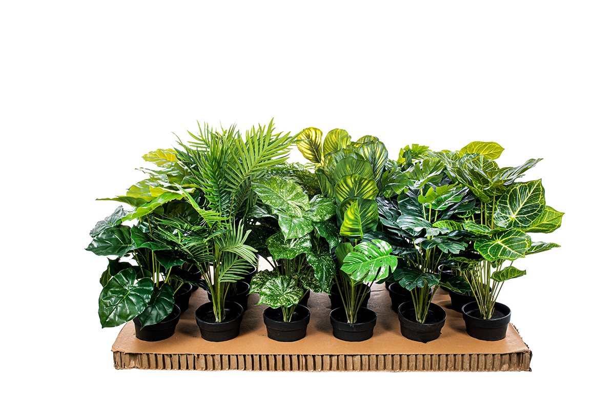 PIANTE VERDI H50CM. 6PEZZI