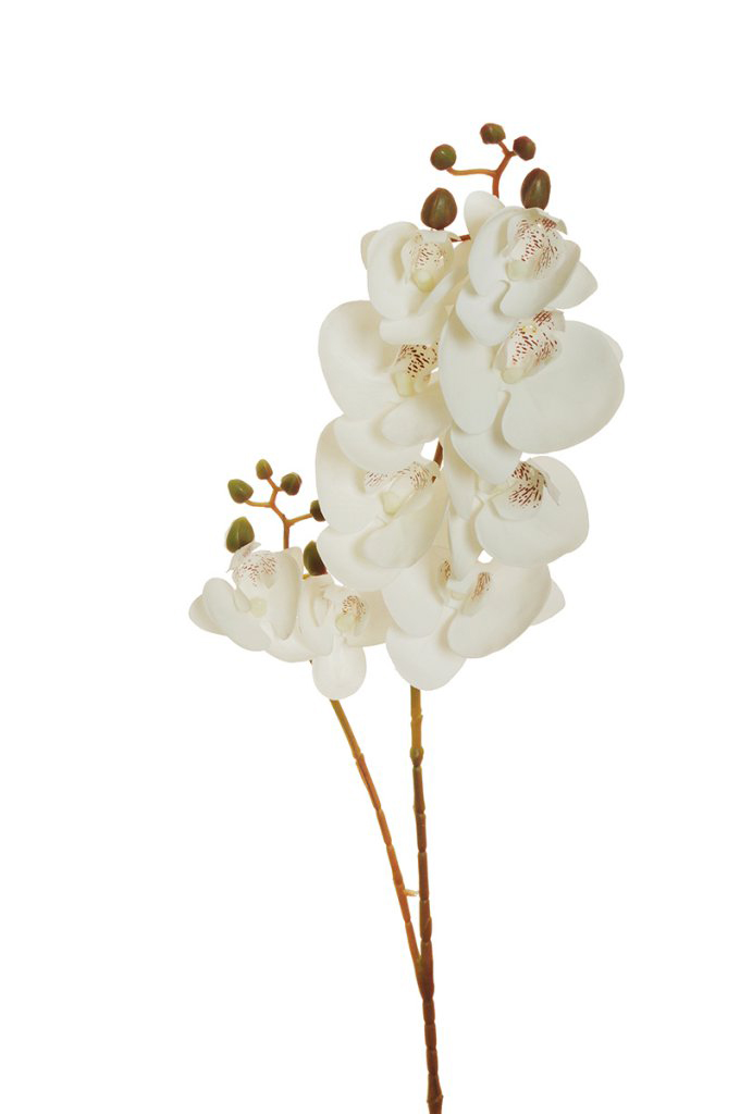 PHALAENOPSIS APHROD. 9FIORI REAL TOUCH 88CM.