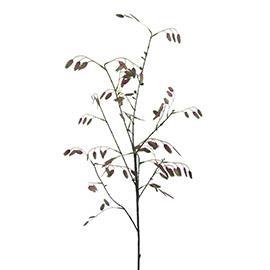 BRIZAGRAS 97CM. 2PZ. AUBERGINE