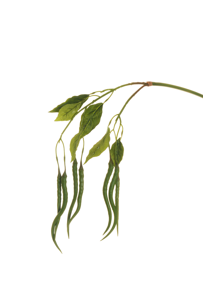 CHILLI PEPPER RAMO C/7FRUTTI 110CM. VERDE