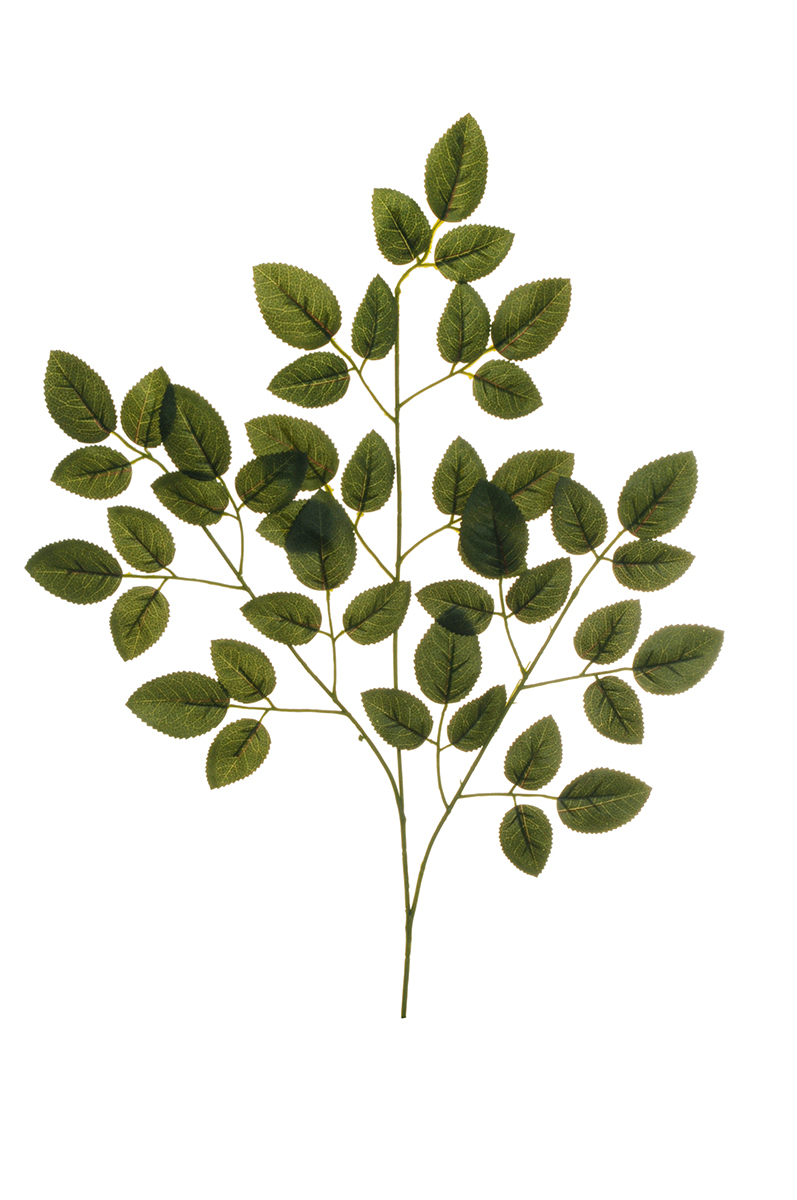 FOGLIE DI ROSE SPRAY X3 C/45FOGLIE 6PZ. 62CM.