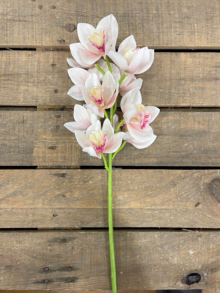 CYMBIDIUM SPRAY X10 58CM. LT PINK