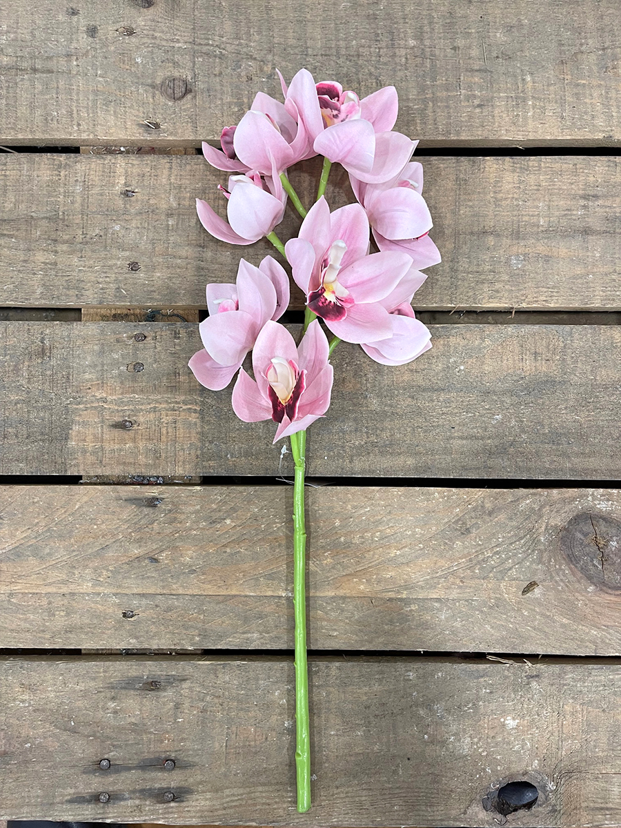 CYMBIDIUM SPRAY X10 58CM. PINK