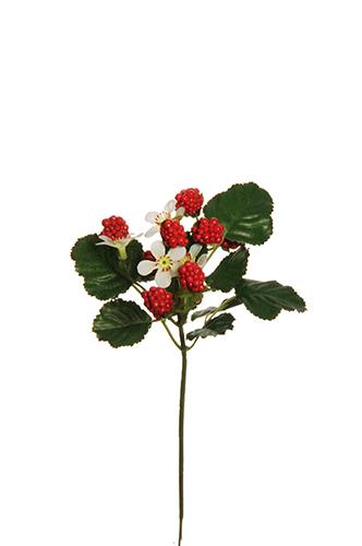RASPBERRY PICK 12PEZZI 25CM. ROSSO