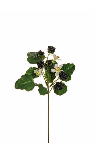 RASPBERRY PICK 12PEZZI 25CM. NERO