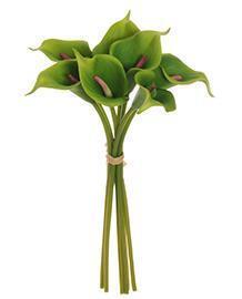 CALLA SMALL LILY W/RAF. 7PZ. 34CM. GREEN