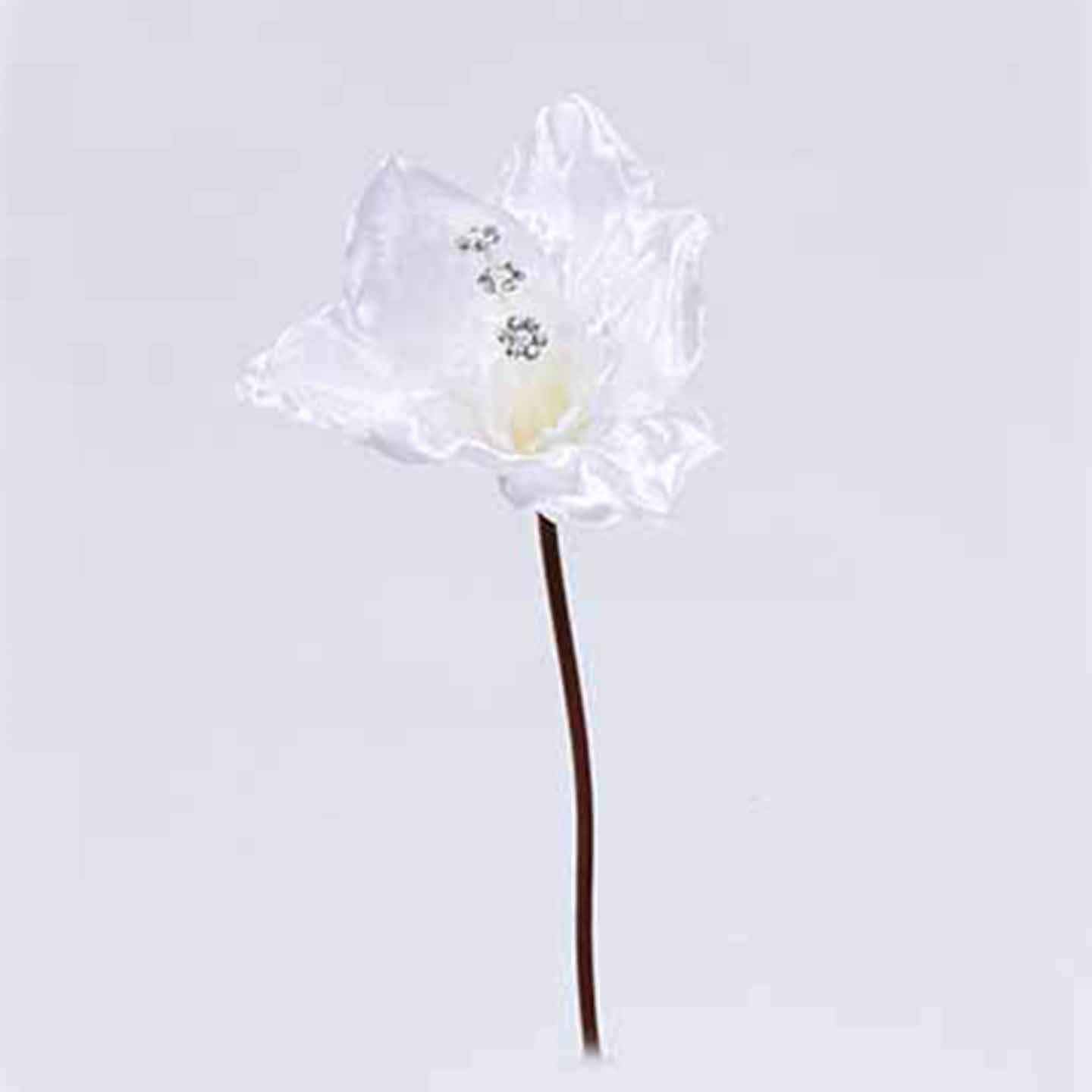AMARYLLIS 3PZ. 30CM.WHITE