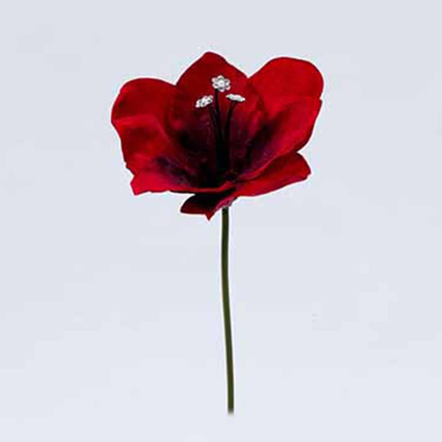 AMARYLLIS 3PZ. 30CM.RED