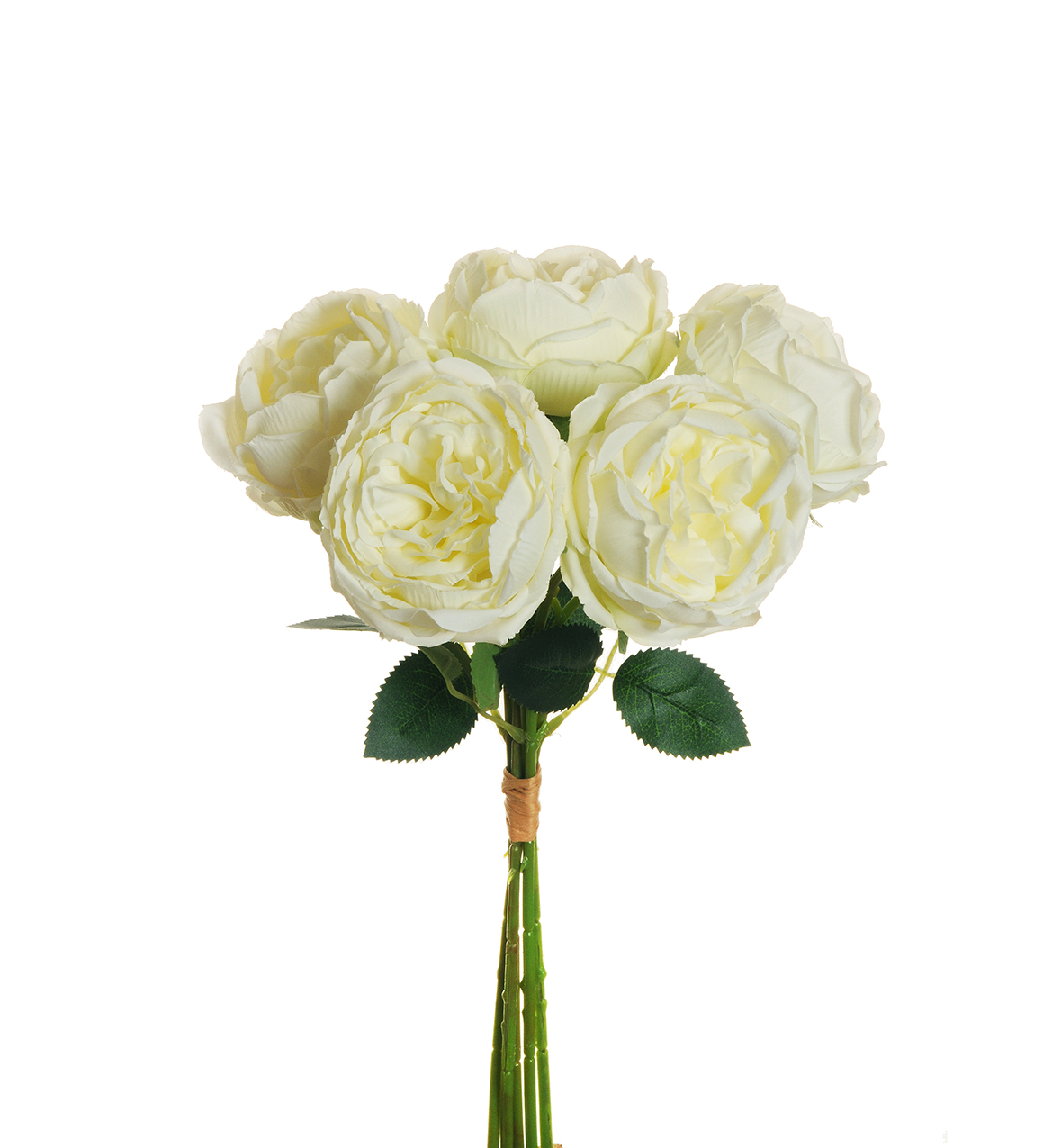 ROSE CABBAGE BUNDLE X5 38CM. CREMA