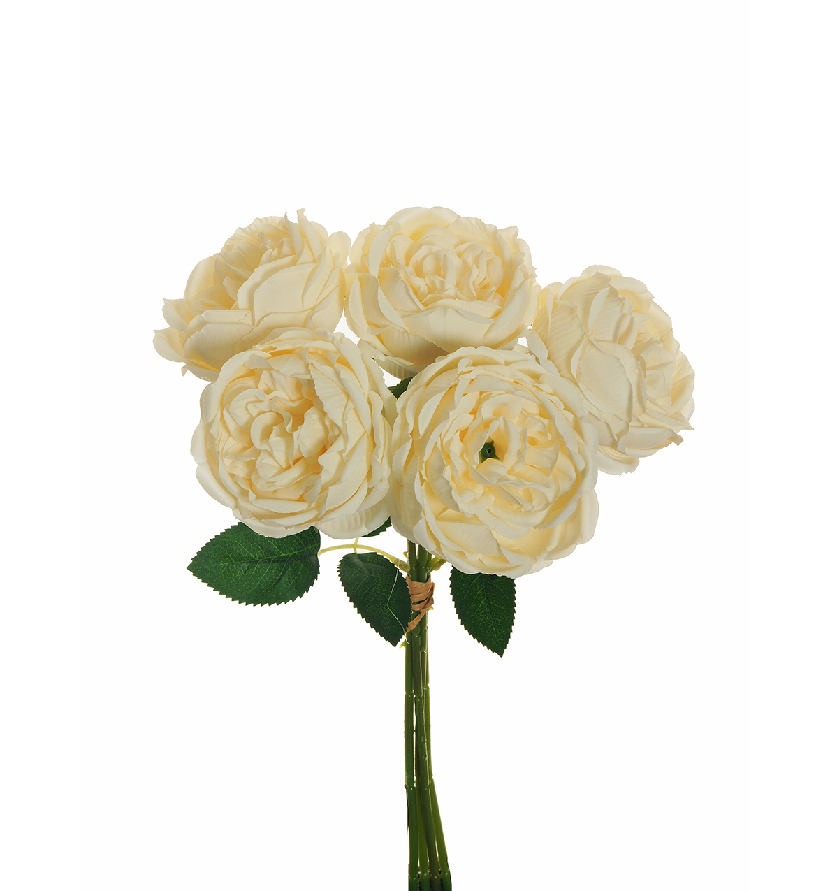 ROSE CABBAGE BUNDLE X5 38CM. IVORY