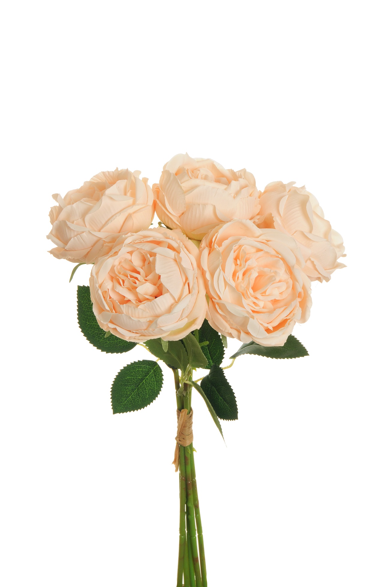 ROSE CABBAGE BUNDLE X5 38CM.SALMONE CH.