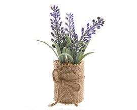 LAVANDA IN POT DI JUTA 3PZ. H12 D5CM.