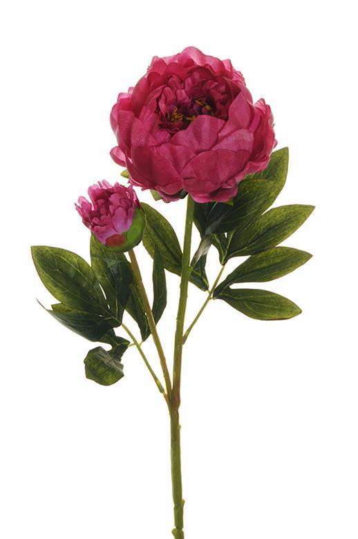 PEONY SPRAY 1FLWR 1BOCC. 66CM. 3PEZZI FUCSIA
