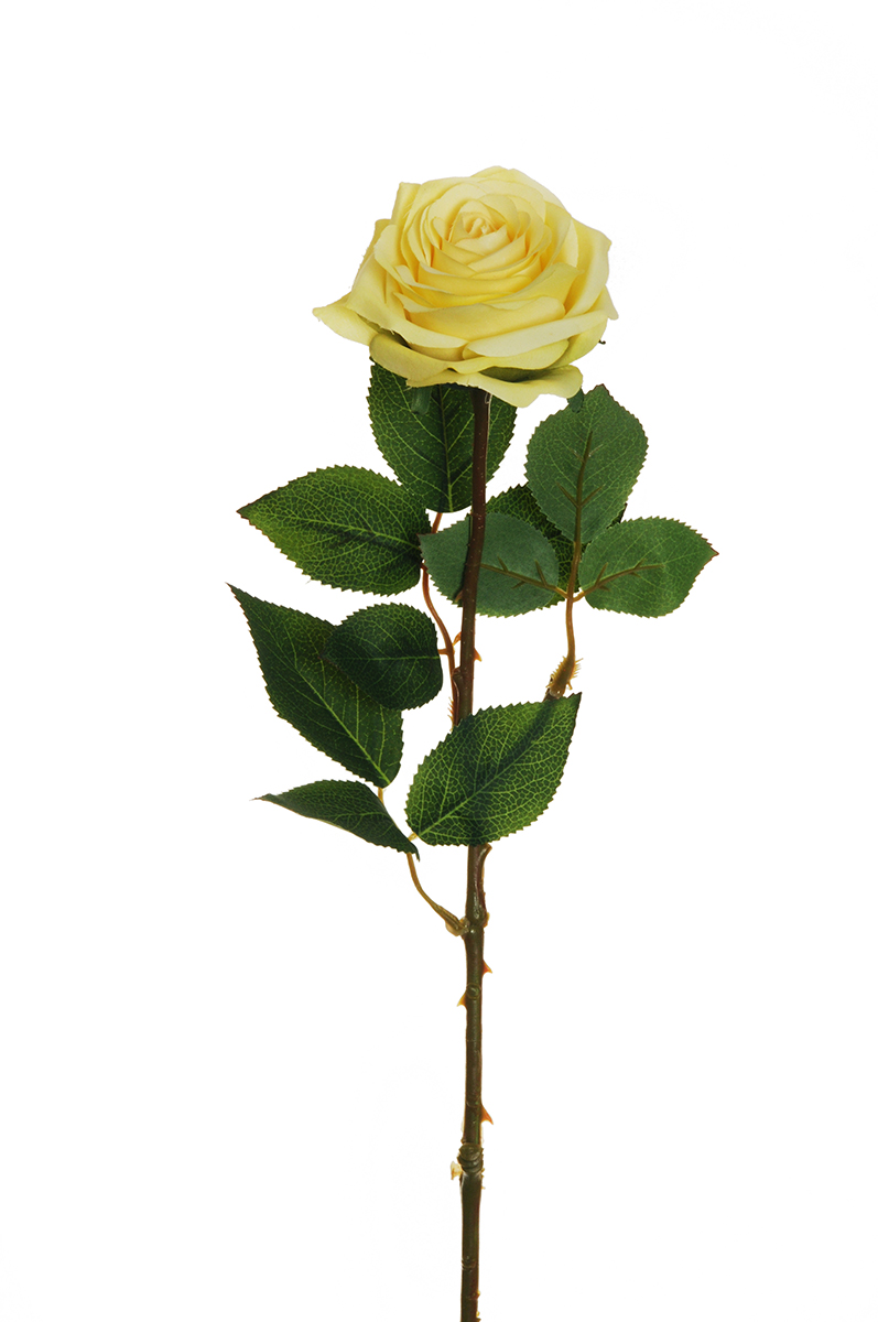 ECUADOR ROSE W/LEAF 65CM. 6PZ. GIALLO CH.