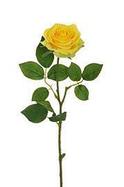 ECUADOR ROSE W/LEAF 65CM. 6PZ. GIALLO