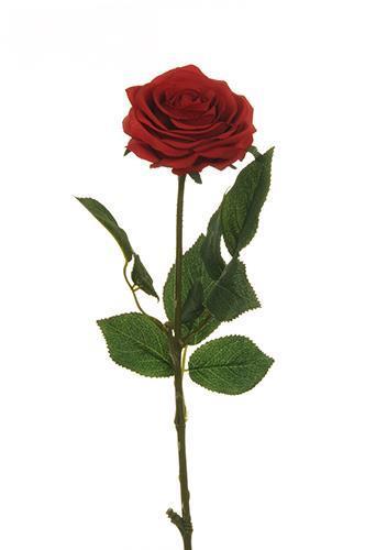 ECUADOR ROSE W/LEAF 65CM. 6PEZZI ROSSO