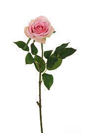 ECUADOR ROSE W/LEAF 65CM. 6PZ. ROSA