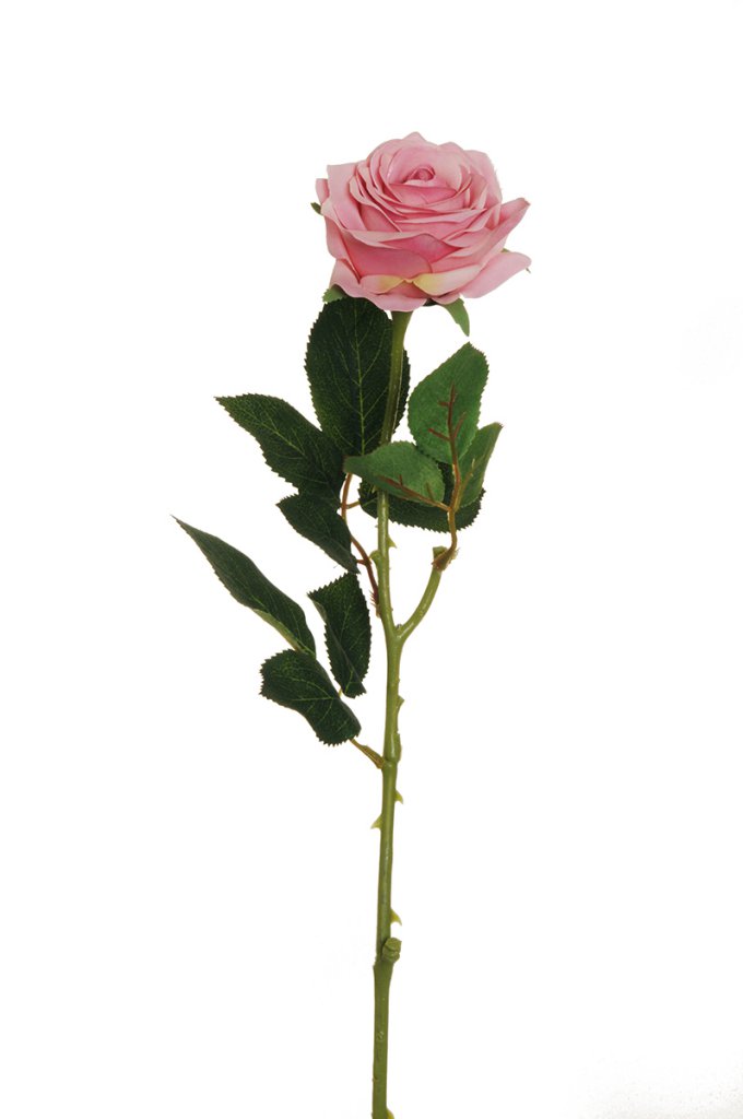 ECUADOR ROSE W/LEAF 65CM. 6PZ. PINK MAUVE