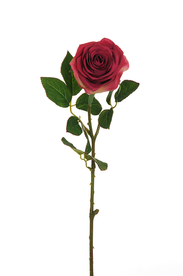 ECUADOR ROSE W/LEAF 65CM. 6PZ. FUCHSIA