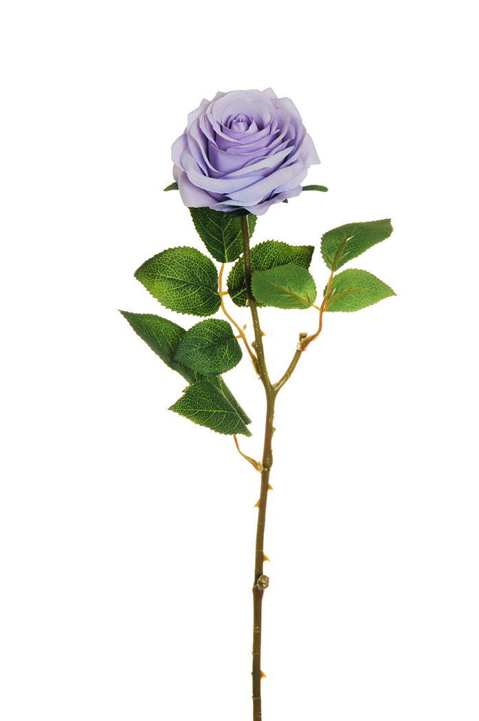 ECUADOR ROSE W/LEAF 65CM. 6PZ. LAVANDA
