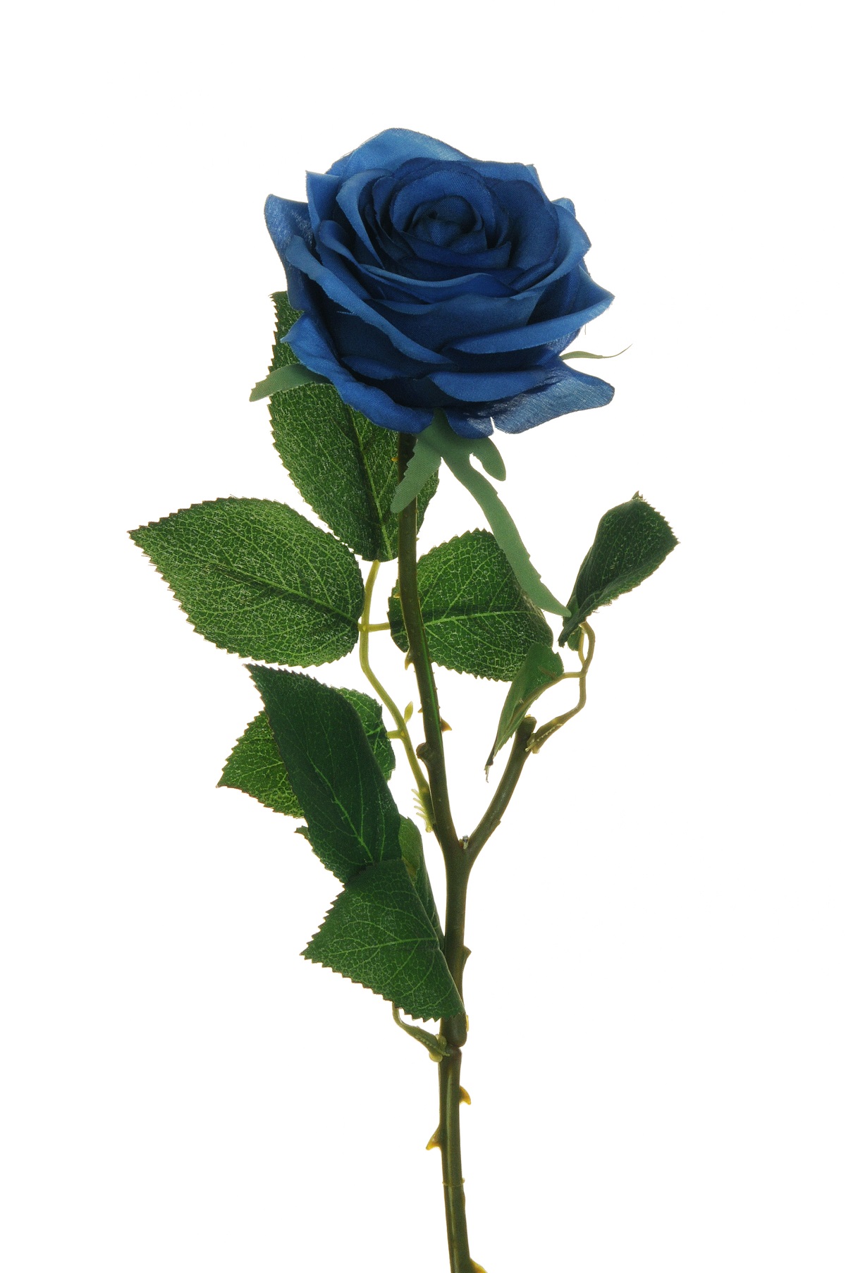 ECUADOR ROSE W/LEAF 65CM. 6PZ. DK BLUE