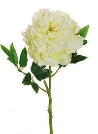 PEONY SOFT CANDY 60CM.GREEN WH