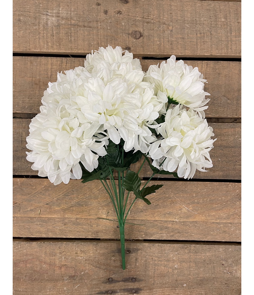 BUSH CRISANTEMO X12 WHITE