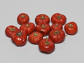 ZUCCA MINI 100GR. RED