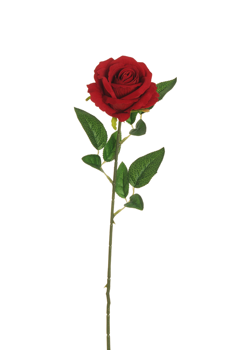 ROSA CAROLINA VELVET 62,5CM. 3PZ. ROSSO