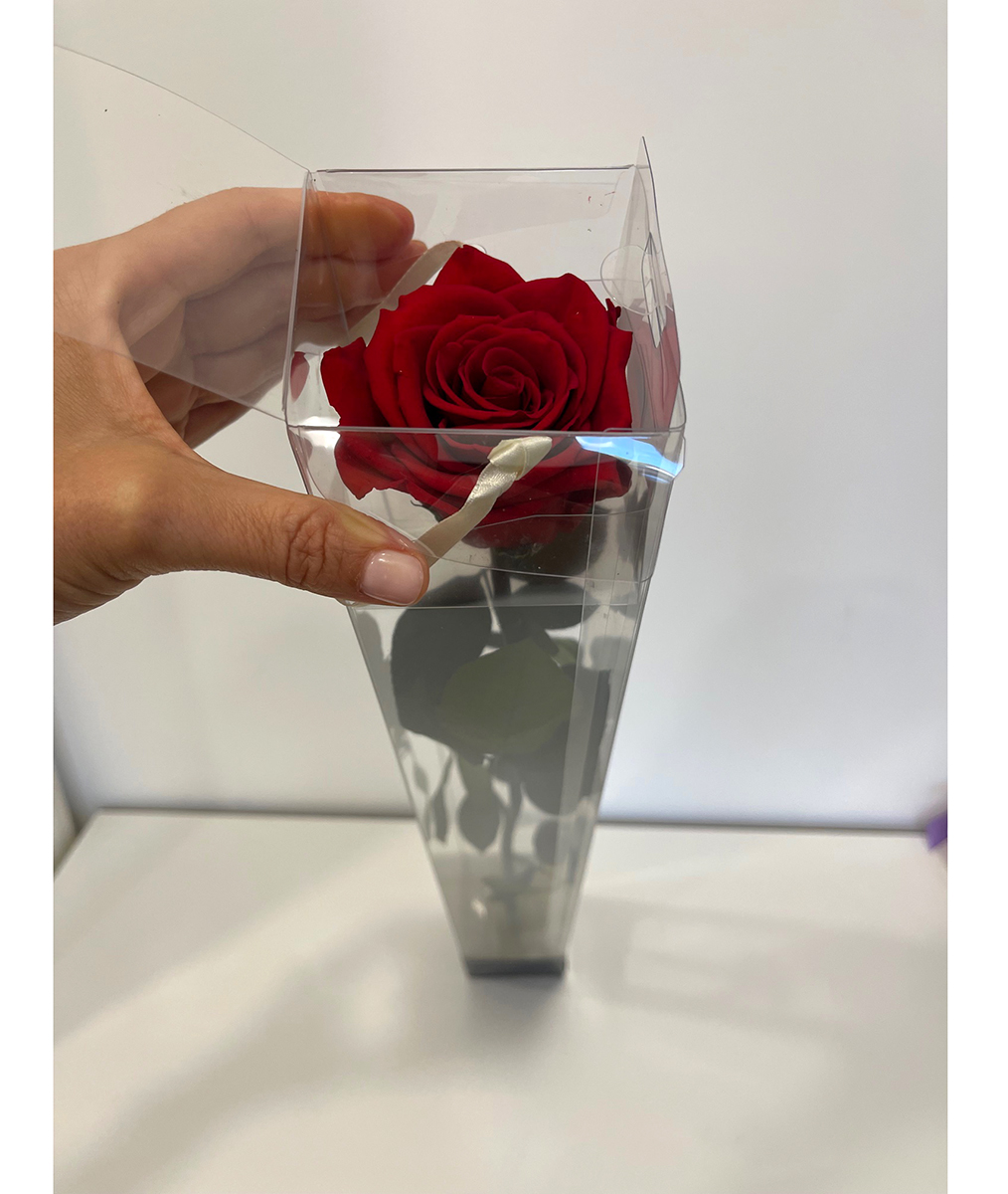 ROSA STAB. A STELO 60CM. DISPLAY RED-02 ---NETTO-------