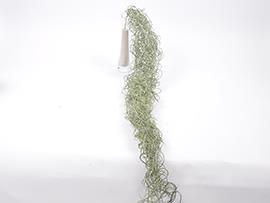 RAMO L170CM. VERDE SALVIA