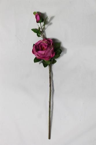 AUSTIN ROSE 60CM. 3PEZZI FUCXIA