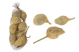 BAOBAB MINI 250GR.GIALLO