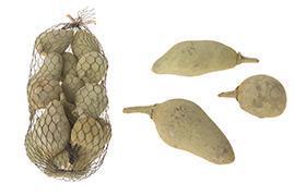 BAOBAB MINI 250GR.VERDE CH.