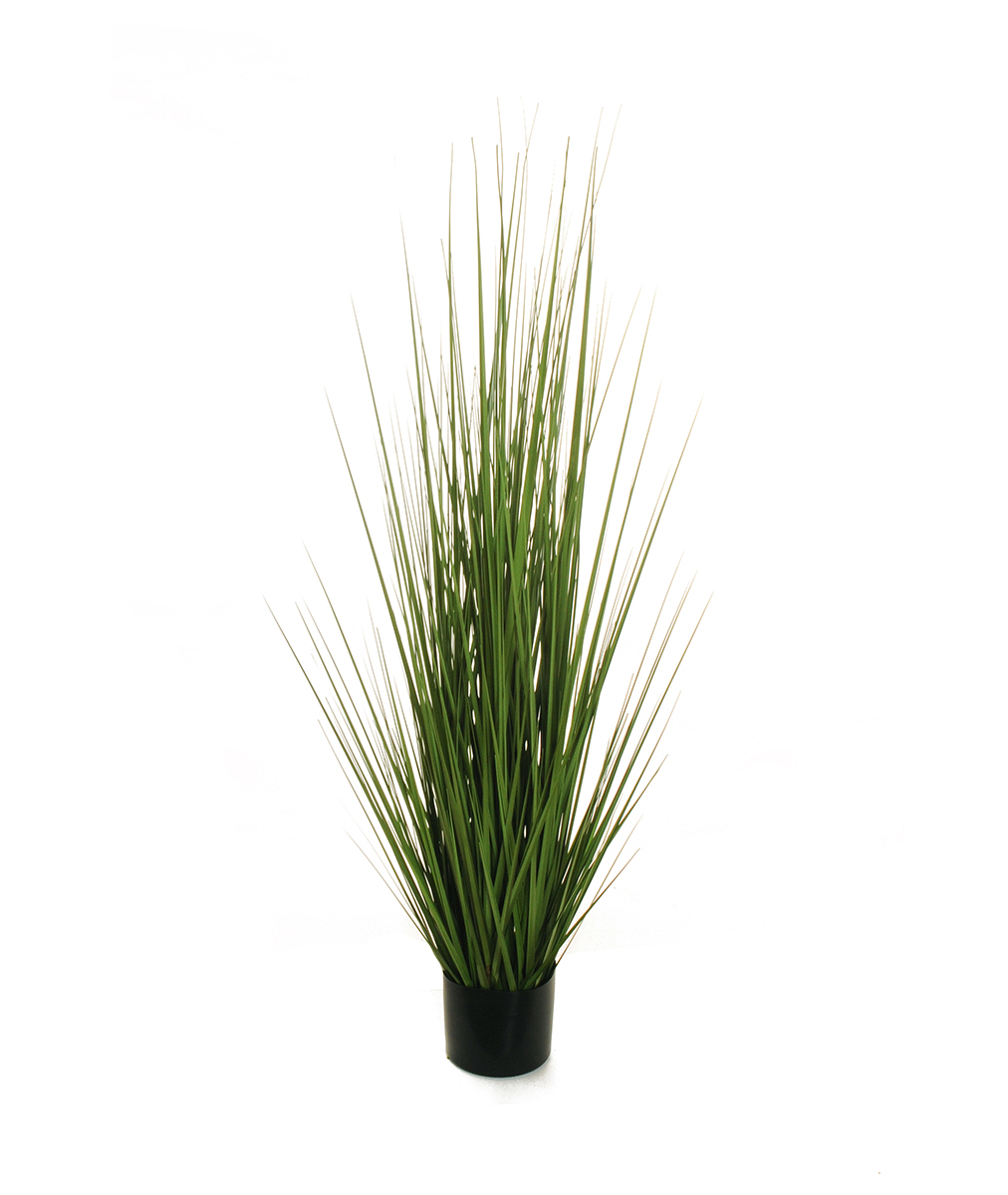PIANTA GRASS VARIEG. H120CM. 1249LVS