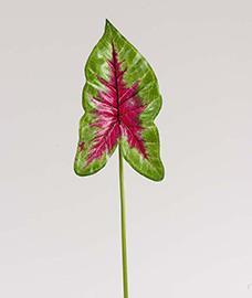 CALADIUM LEAF 83CM. RED/GREEN
