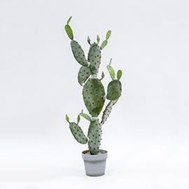 PIANTA CACTUS C/VASO H120CM. VERDE