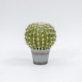PIANTA CACTUS TONDO C/VASO H27CM. VERDE