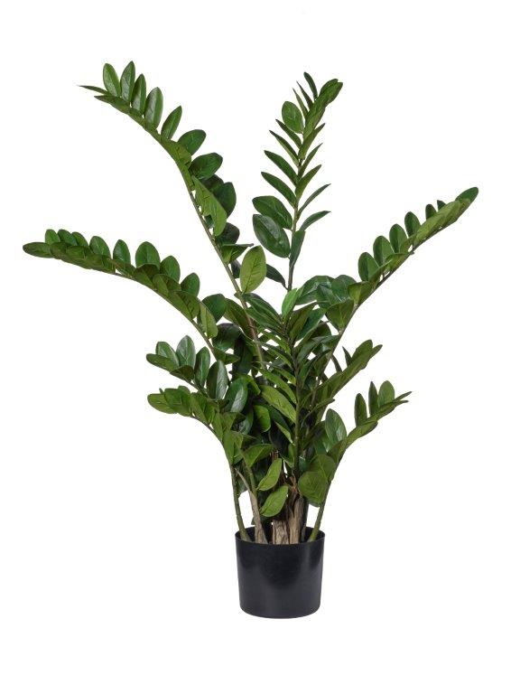 PIANTA ZAMIFOLIA H.110CM. VERDE